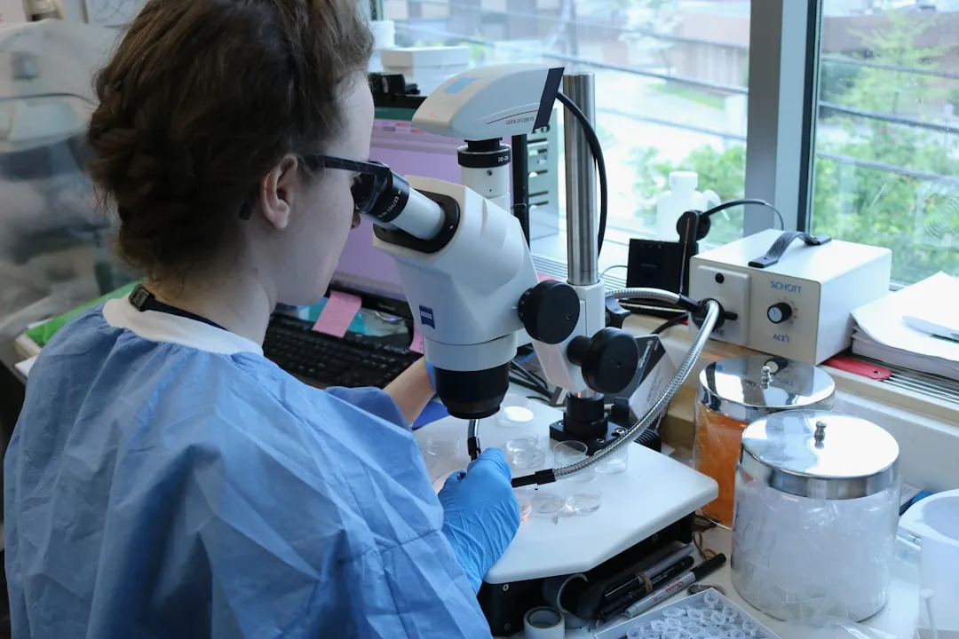 上海旭轶脚手架安装：厂房改造项目中的盘扣式与扣件式方案选型对比